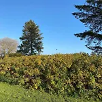 Сasa de vacaciones 6 Person In Hadsund